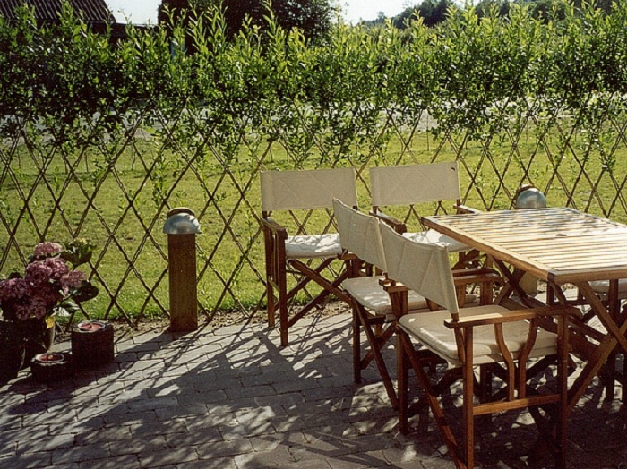 Living Willow Hedges • Insteading